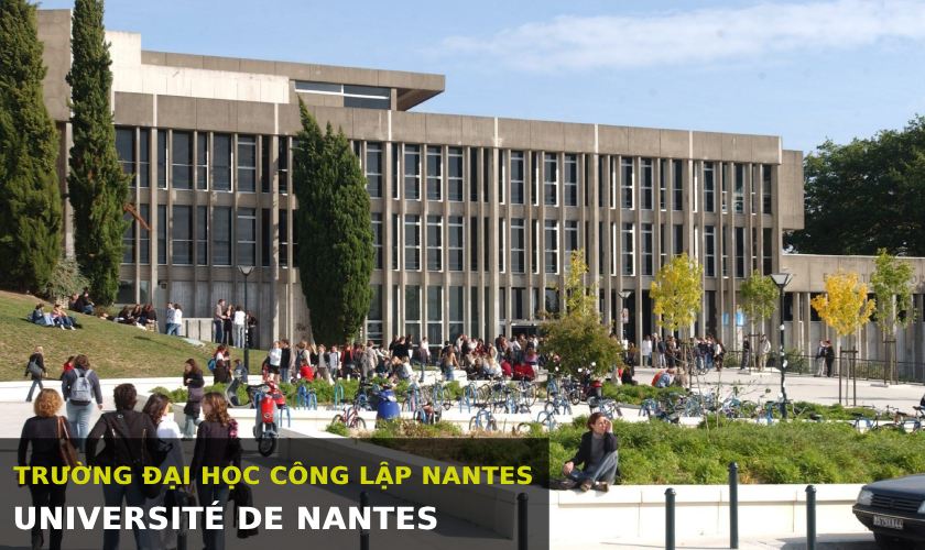Bác sĩ Nguyễn Hoàng Kim Ngân tốt nghiệp Răng Hàm Mặt tại Đại học Nantes, Pháp Bác sĩ Nguyễn Hoàng Kim Ngân tốt nghiệp Răng Hàm Mặt tại Đại học Nantes, Pháp