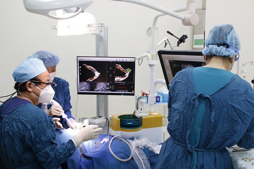 Cấy ghép Implant lần 2 an toàn, hiệu quả tại Trung tâm Implant Việt Nam