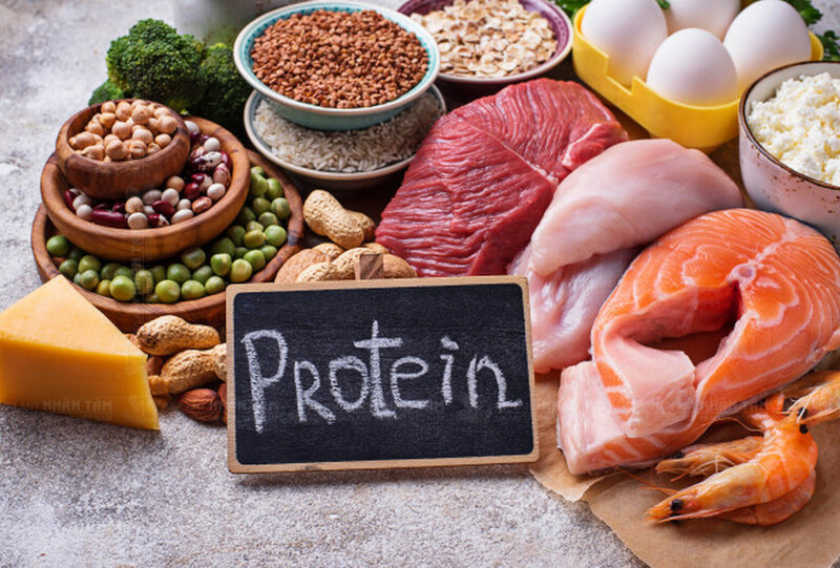 Nhóm thực phẩm giàu Protein