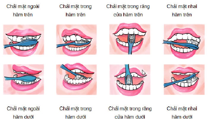 Các bước chải răng đúng cách